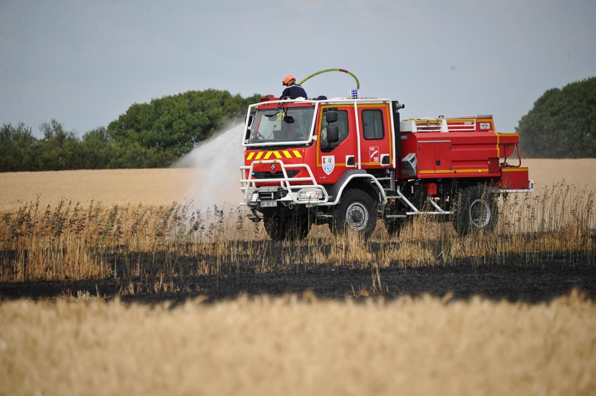 Un incendie dévastateur ravage 6,5 hectares de prairie en Gironde