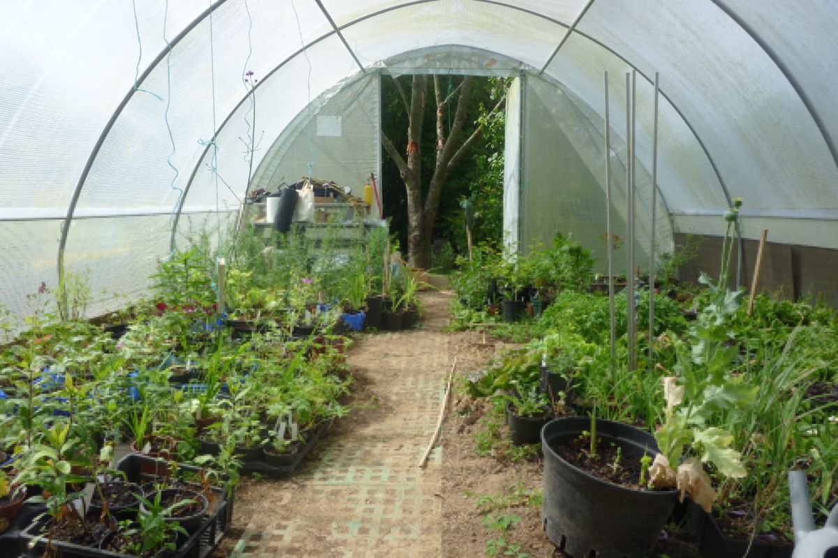 Comment bien choisir et installer sa serre de jardin pour récolter toute l'année