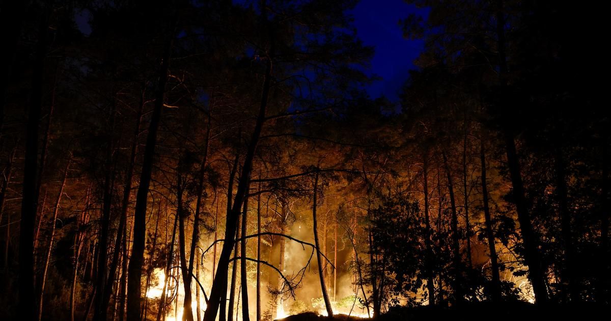 Incendie majeur en forêt de Fontainebleau : un défi sans précédent pour les secours
