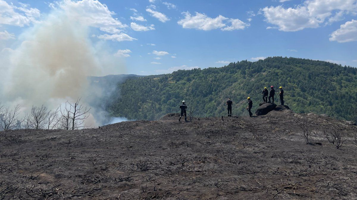 Un incendie ravage Condres : 120 hectares en péril et une maison détruite